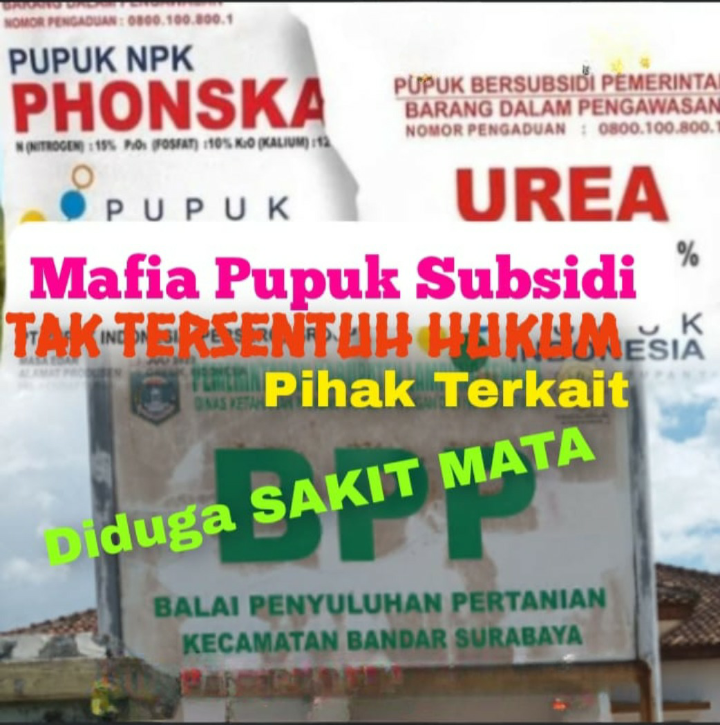 Screenshot_2025-11-01-11-48-42-08