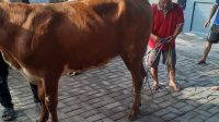 IMG-20260528-WA0025