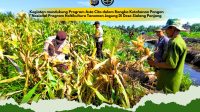 IMG-20260602-WA0007