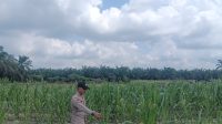 IMG-20260702-WA0032