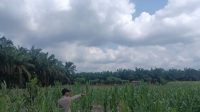 IMG-20260715-WA0033